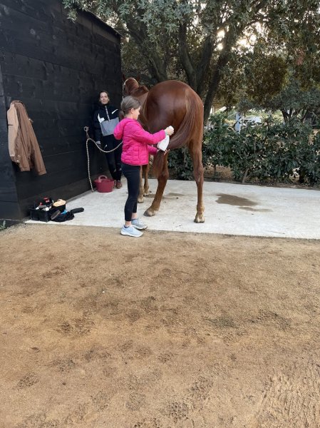 Écurie Luna d'a Farfalla - photo 3