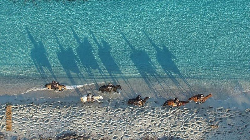 Centre Equestre Equiloisirs-FAE