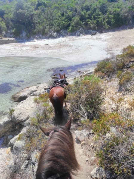 Centre Equestre Equiloisirs-FAE - photo 2