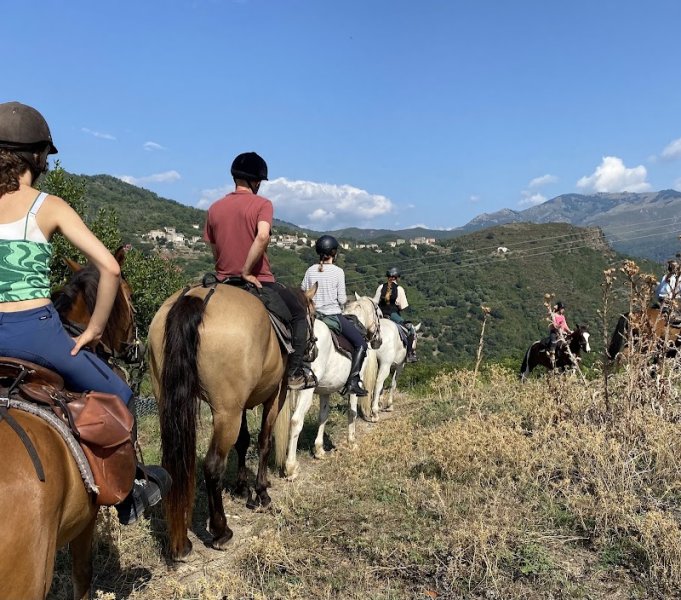 Centre Equestre Equiloisirs-FAE - photo 3