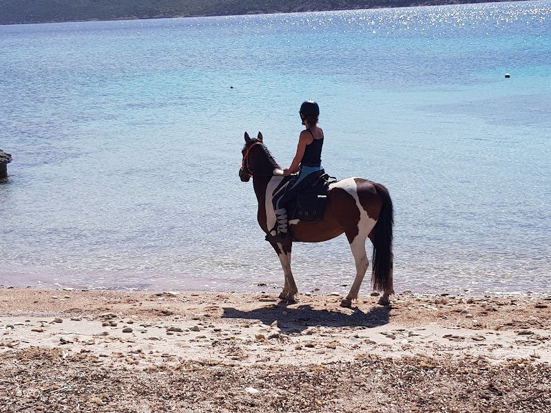 EQUI'LIBRE - Balades à cheval à Bonifacio , balades à poney - photo 2