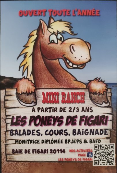 Mini Ranch - Les poneys de Figari