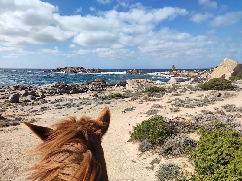 Mini Ranch - Les poneys de Figari - photo 2