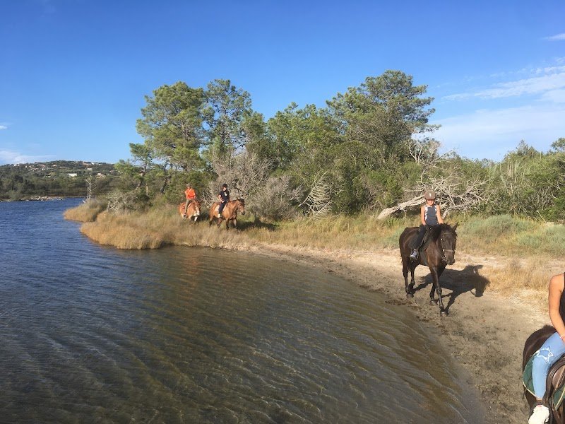 Country Horse - photo 2