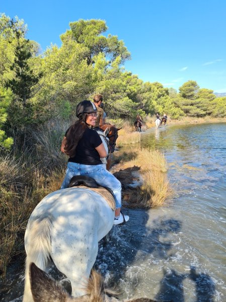 Country Horse - photo 3