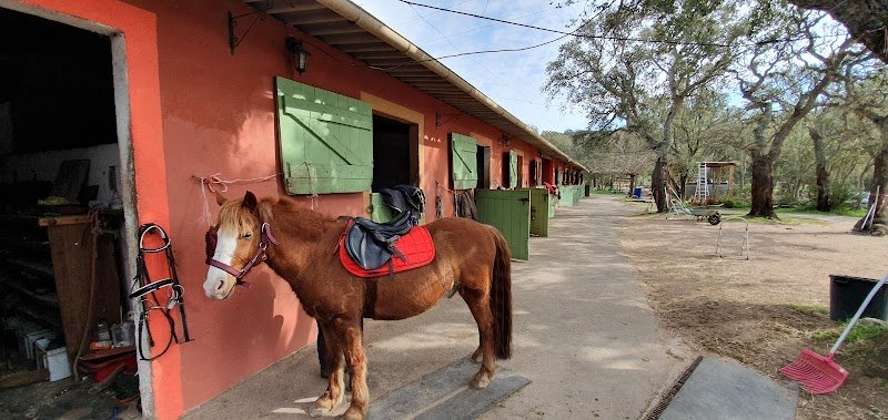 Centre équestre de cardetto - photo 2