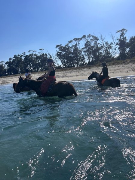 Les écuries de Campitello - photo 2