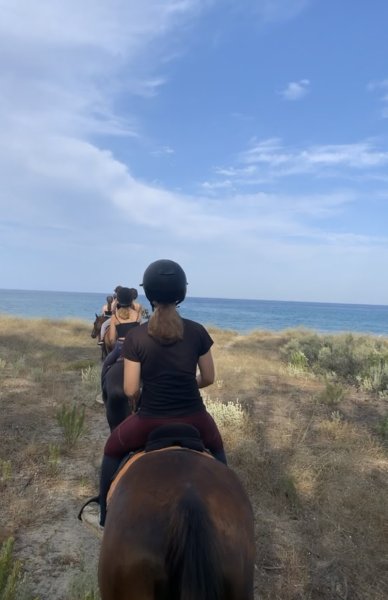 Les écuries de Campitello - photo 3