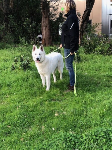 Pension de Lecci - photo 2