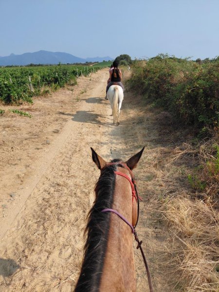 Écurie U Baladinu - Scuderia U Baladinu