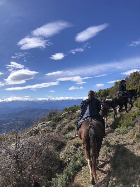 Écurie U Baladinu - Scuderia U Baladinu - photo 3