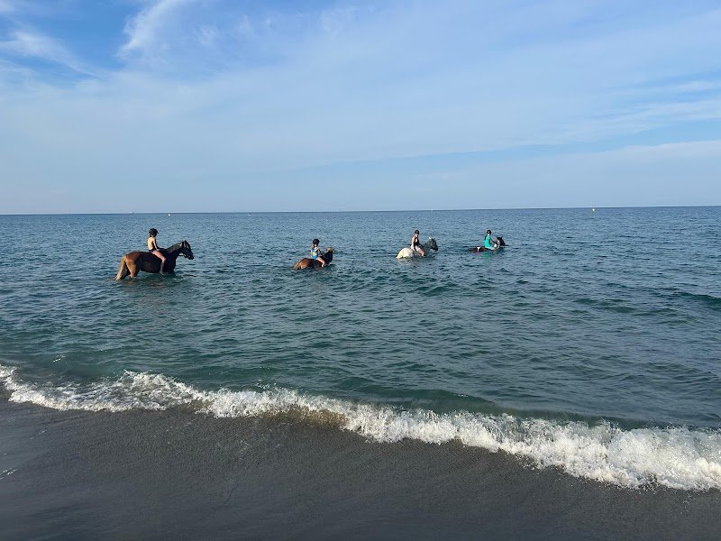 HARAS DES SABLES C-H-B - photo 1