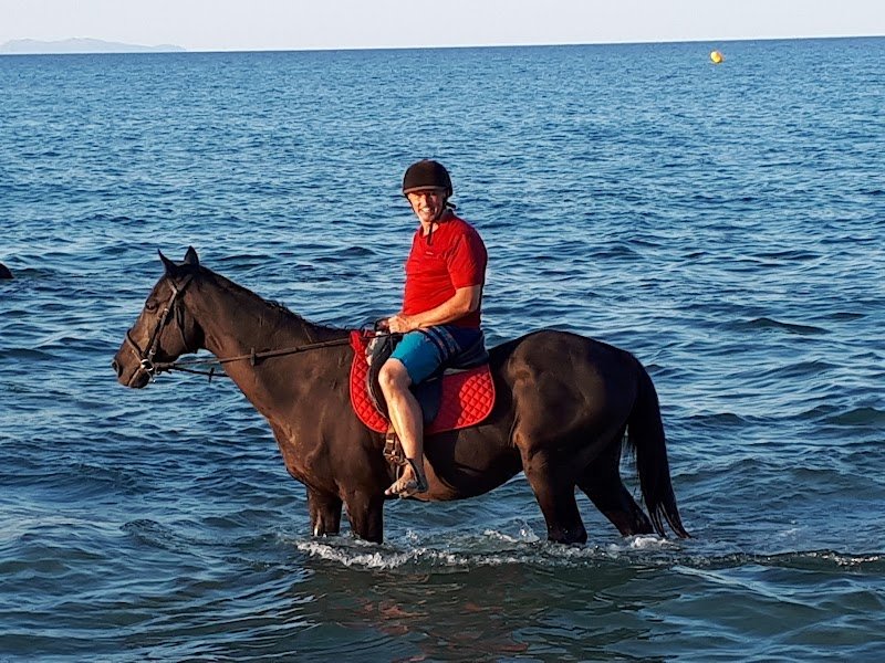 HARAS DES SABLES C-H-B - photo 2
