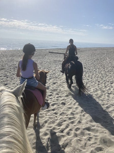 HARAS DES SABLES C-H-B - photo 3