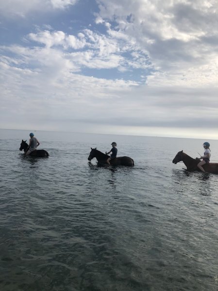 Centre equestre du domaine d'anghione - photo 1