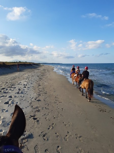 Centre equestre du domaine d'anghione - photo 3