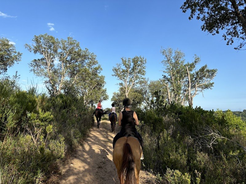 Ranch Tavagn'A Cavallu balade et baignade à cheval en corse - photo 2