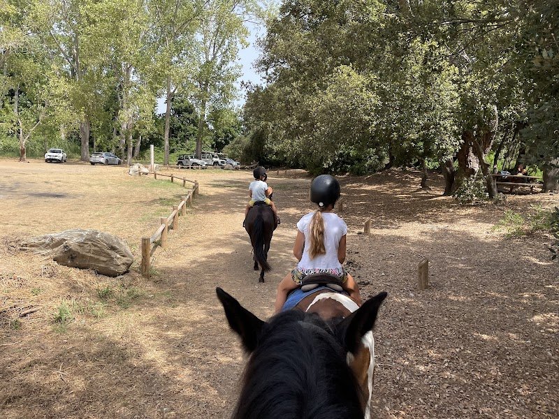 Aux Poneys d Eden - photo 2