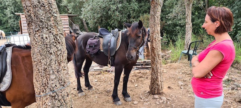 Aux Poneys d Eden - photo 3
