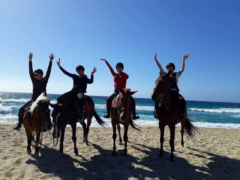 Centre Equestre l' Ypsos