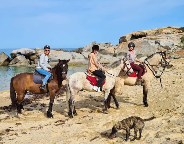 Centre Equestre l' Ypsos - photo 2