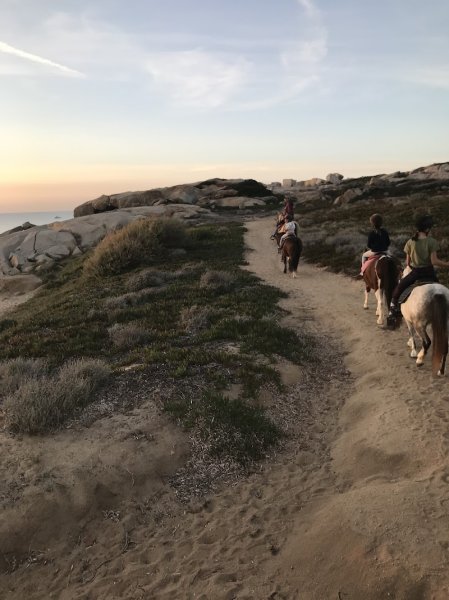 Centre Equestre l' Ypsos - photo 3