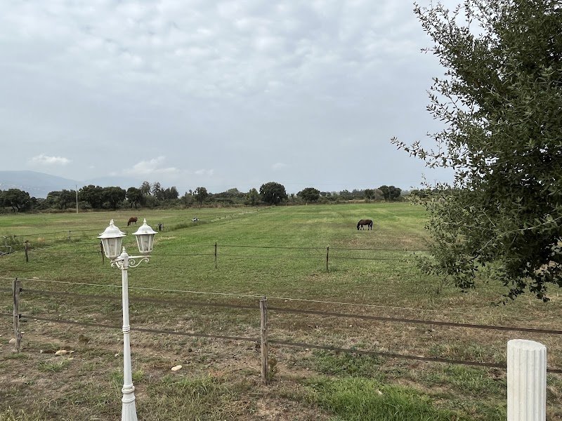 Raffo Jerome Les écuries d’Occi - photo 2