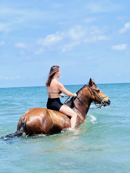 Ranch Paganacciu - Balade à cheval en Corse - Baignade avec les chevaux - photo 1