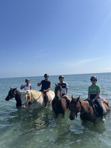 Ranch Paganacciu - Balade à cheval en Corse - Baignade avec les chevaux - photo 3