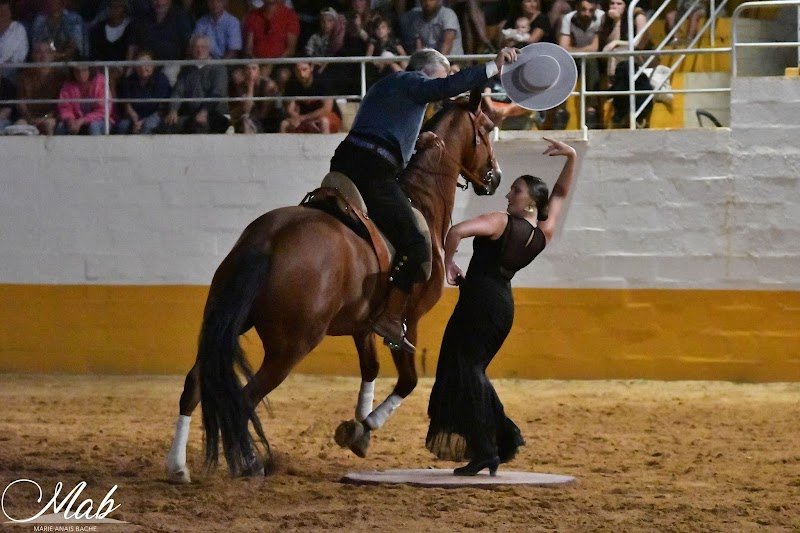 Écuries El Campo | Dax | Mées | Pension chevaux | Compétitions - photo 2