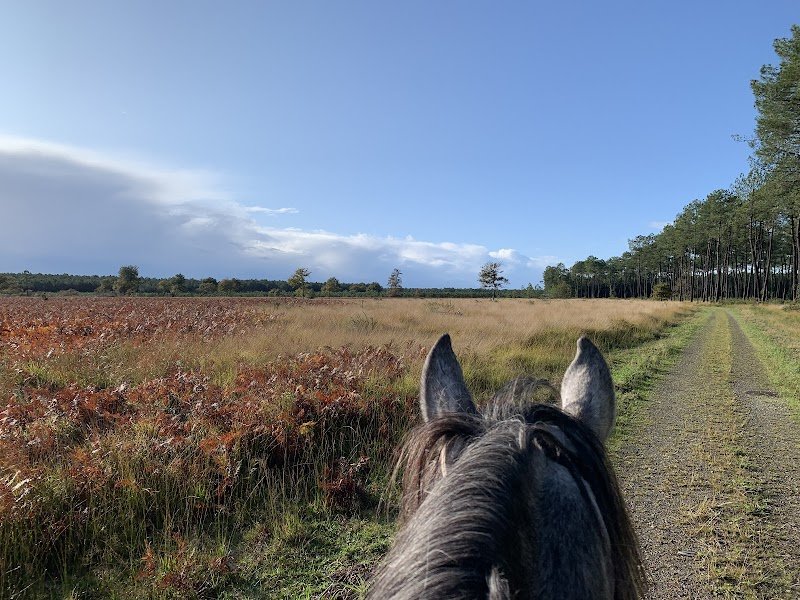 Écuries El Campo | Dax | Mées | Pension chevaux | Compétitions - photo 3