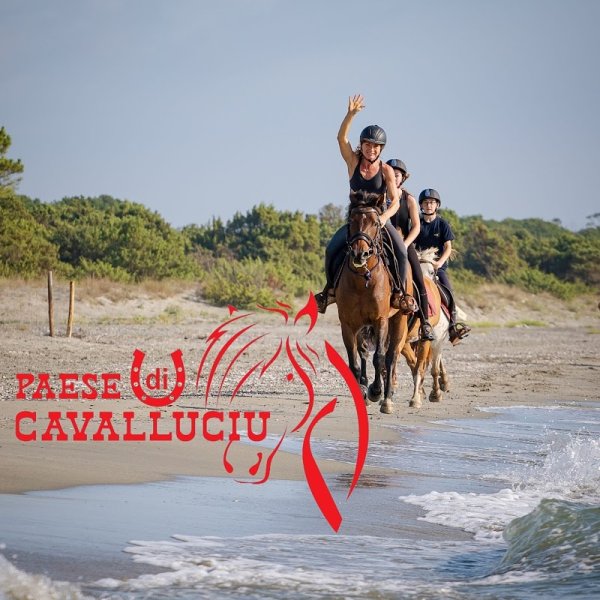 Poney-Club Paese Di U Cavalluciu - photo 1