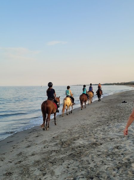 Poney-Club Paese Di U Cavalluciu - photo 2