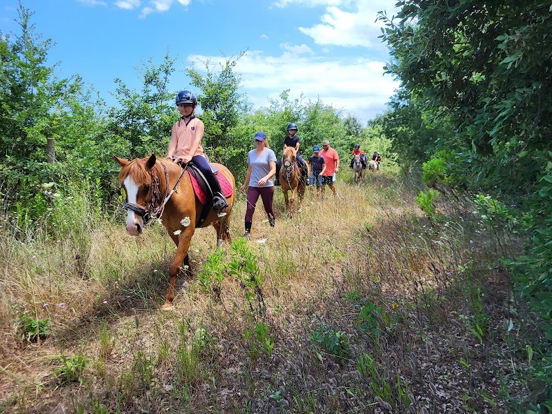 Poney-Club Paese Di U Cavalluciu - photo 3