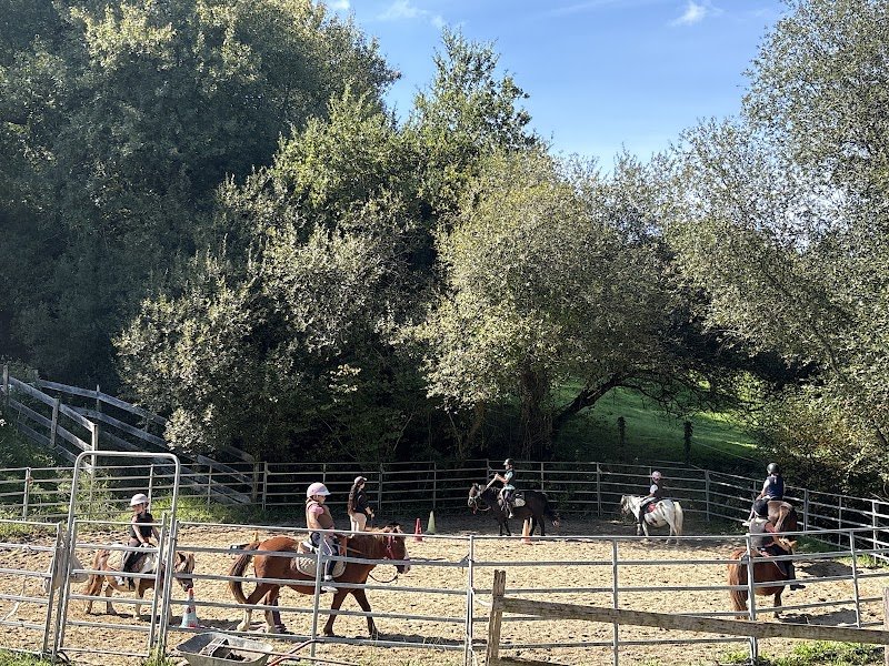 les écuries Linagua - photo 2