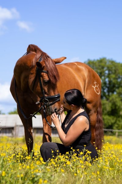 Haras de l'esperanza by Manon Delcroix EI