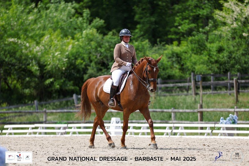 Haras de l'esperanza by Manon Delcroix EI - photo 3