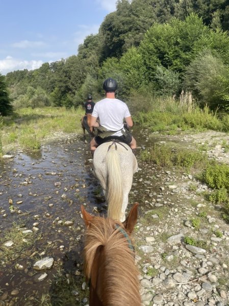 Ferme Equestre I Balatoghi - photo 2