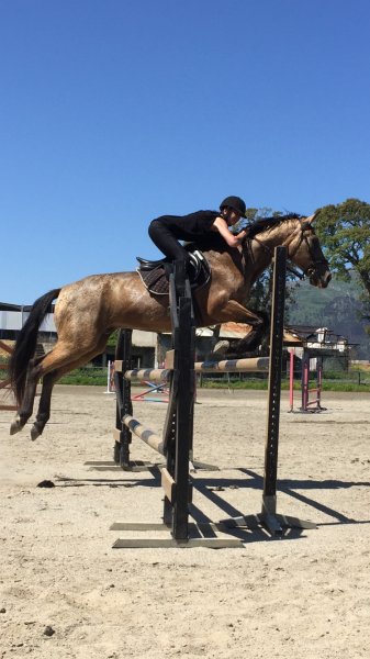 Centre Équestre Canale di Melo - Centru Equestru Canale di Melo - photo 1