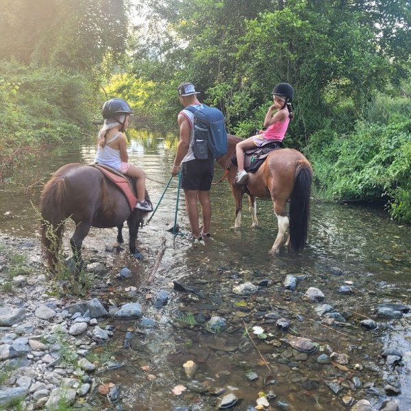 Les écuries de la Costa verde