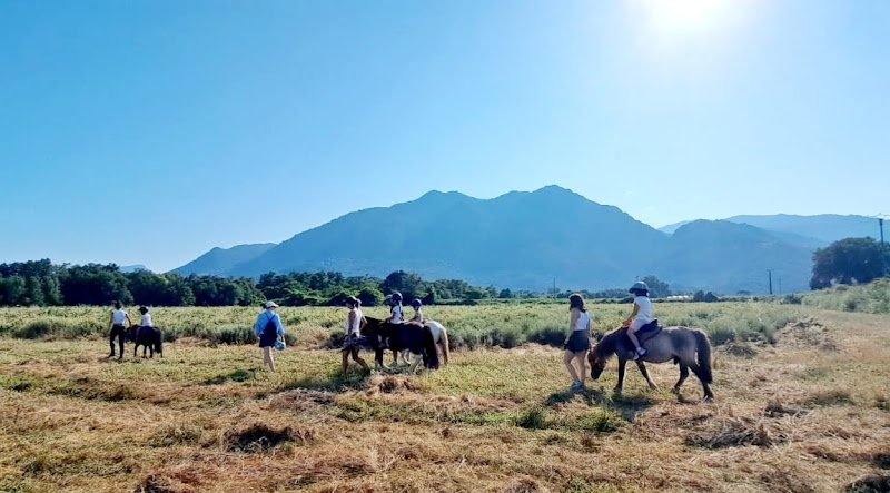 Les écuries de la Costa verde - photo 2