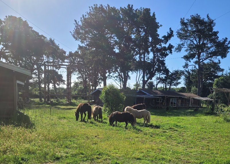 Les écuries de la Costa verde - photo 3
