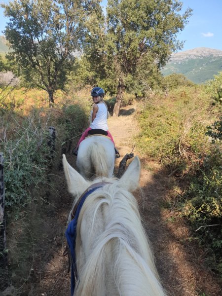 Promenades à cheval Cavallu Di Brando