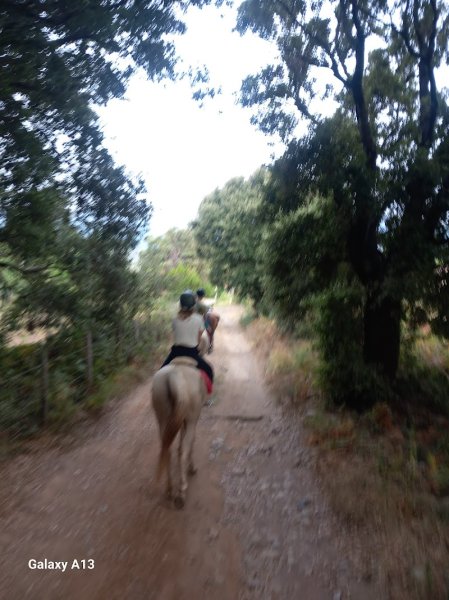 Promenades à cheval Cavallu Di Brando - photo 2