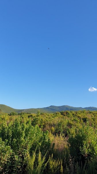 Promenades à cheval Cavallu Di Brando - photo 3