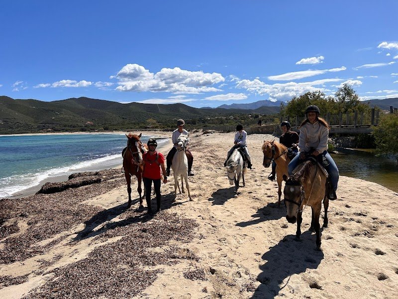 Cavall’in Losari - Centre équestre de Belgodère - Balagne