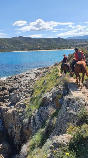 Cavall’in Losari - Centre équestre de Belgodère - Balagne - photo 2