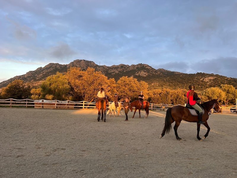 Cavall’in Losari - Centre équestre de Belgodère - Balagne - photo 3
