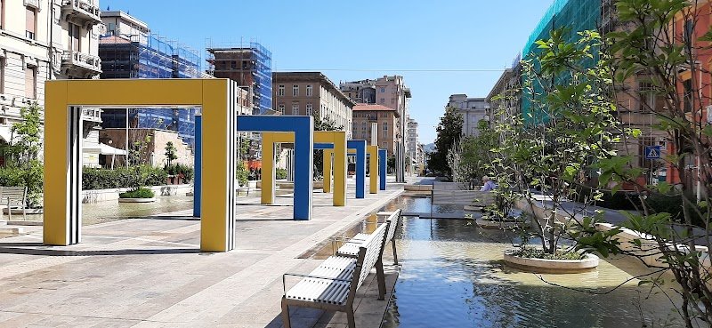 Ecurie Camadini - Haras de Riponi