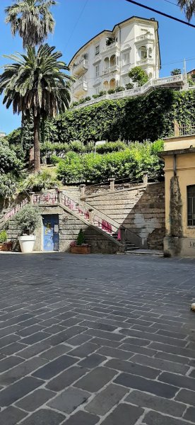 Ecurie Camadini - Haras de Riponi - photo 3